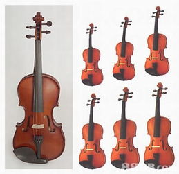 2019最新11个有关Violin之价格及商户联络资讯 HK 88DB.com
